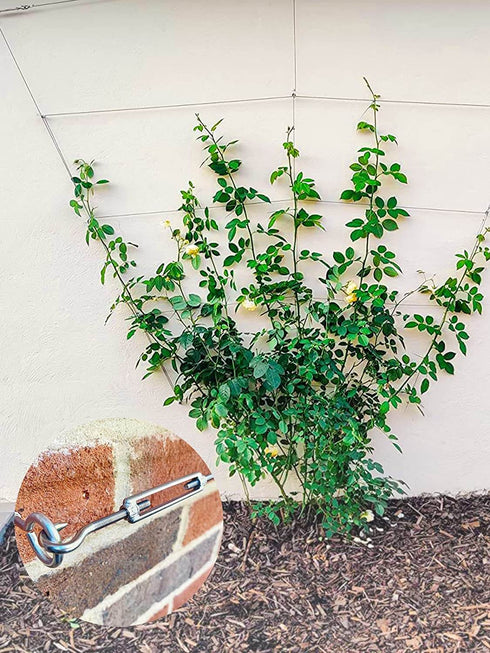 1/16" Stainless Steel Cable Tensioner Kit with M5 Turnbuckle and Screw Hooks